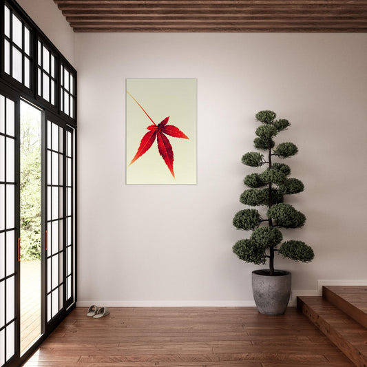 Small Japanese maple leaf - Canvas