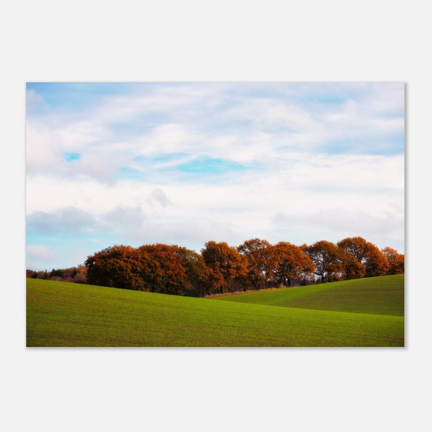 Expanse around Baldringe - Aluminum print