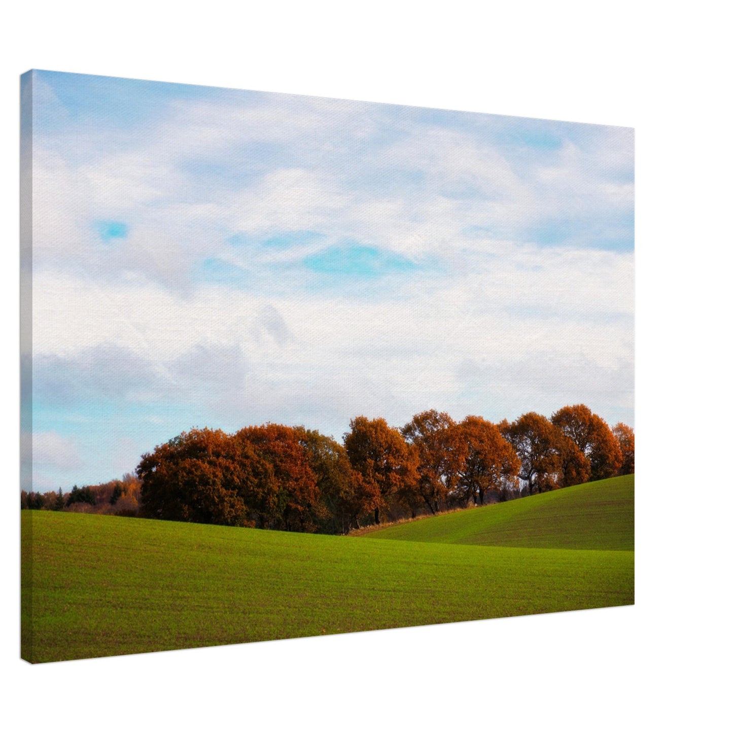 Vidder kring Baldringe - Canvas