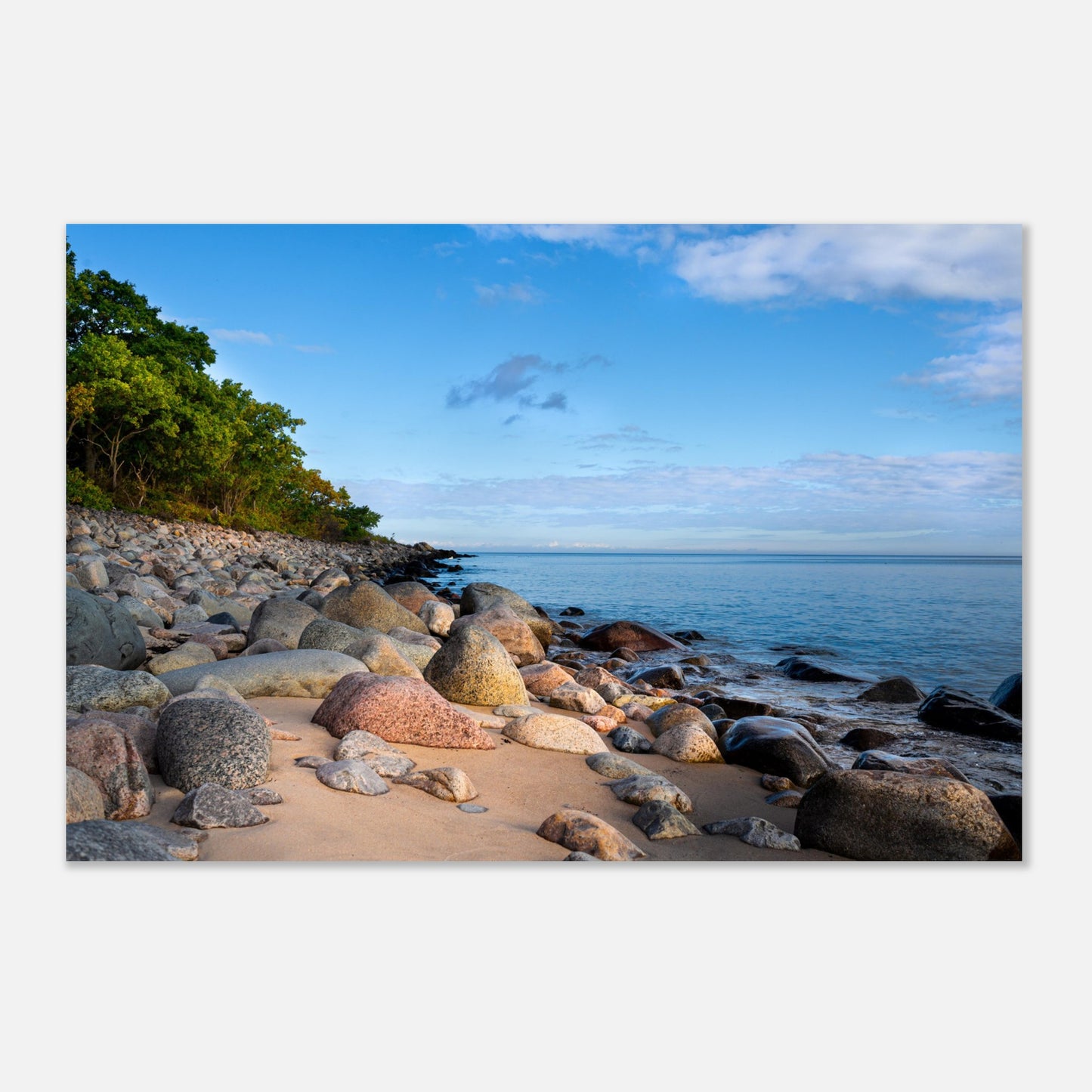 The beach below Stenshuvud - Aluminum print