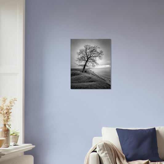 The tree at Ravlunda - Canvas