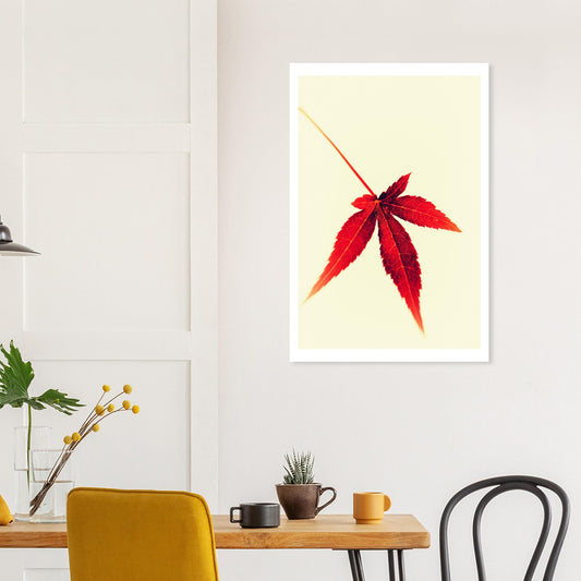 Small Japanese Maple Leaf - Poster