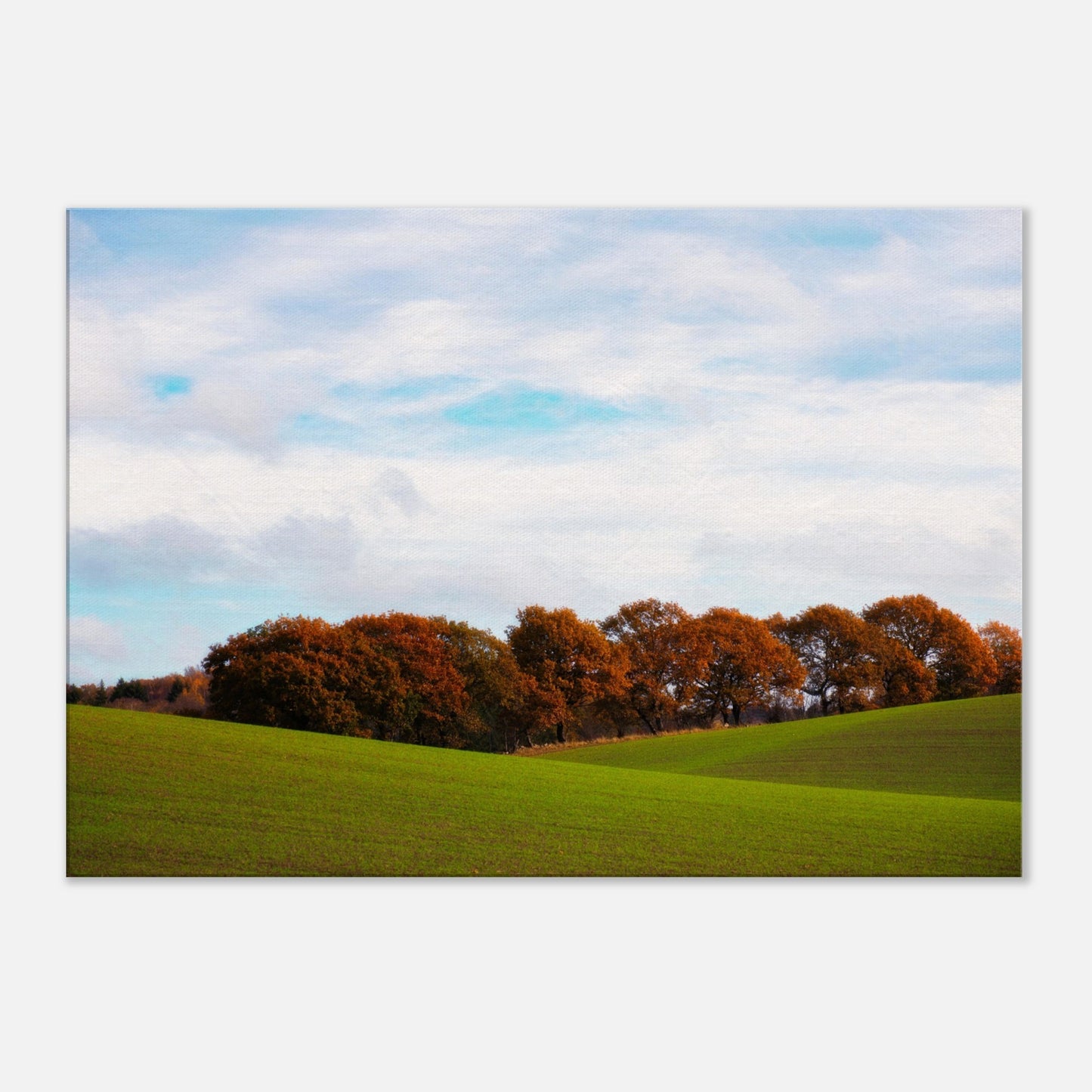 Expanse around Baldringe - Canvas