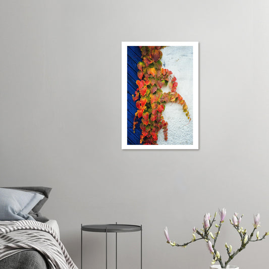 A wall in Ystad in autumn - Poster