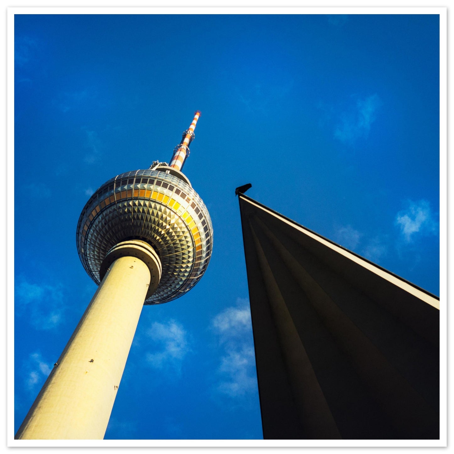 Tv-tornet i Berlin med fågel - Poster