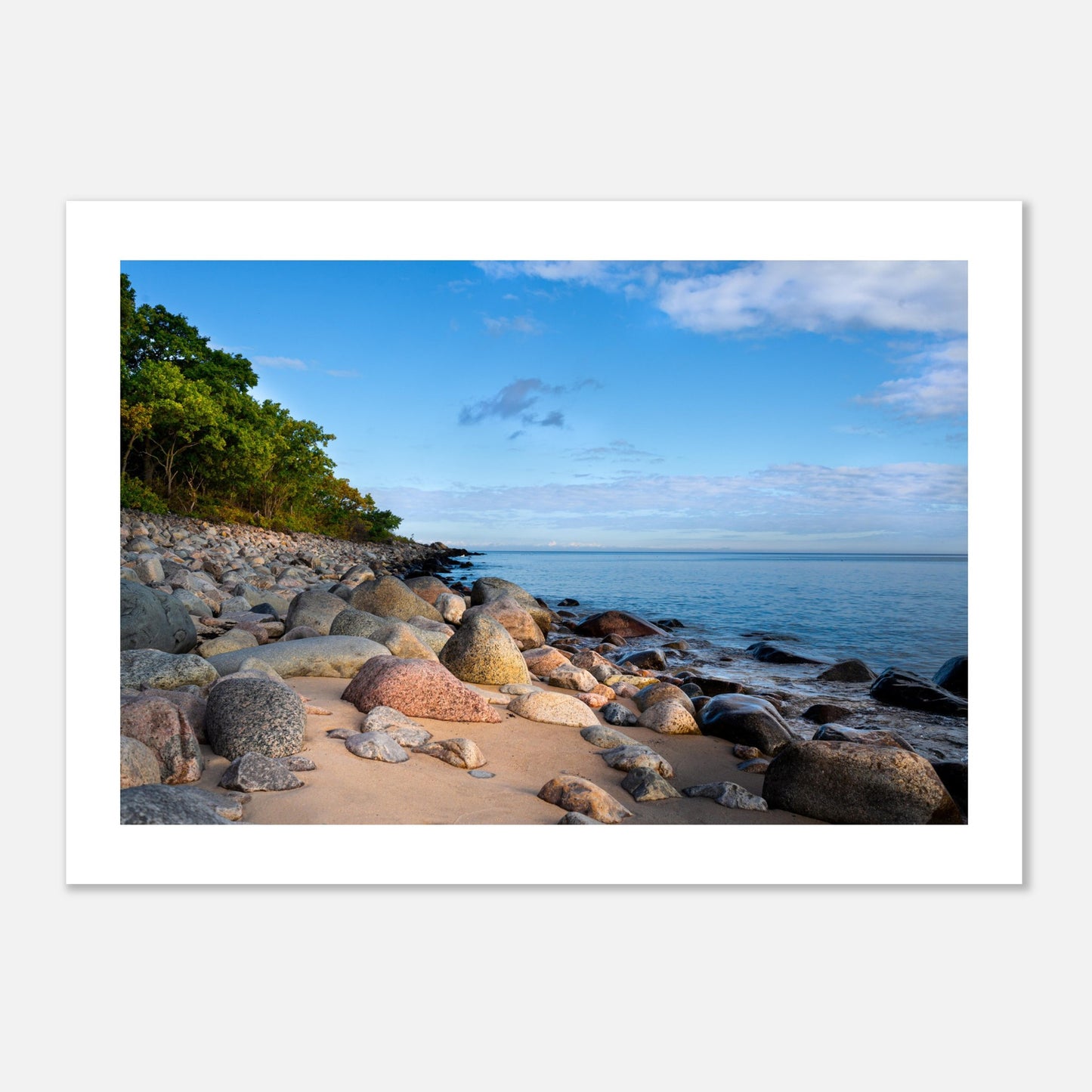 The beach below Stenshuvud - Poster