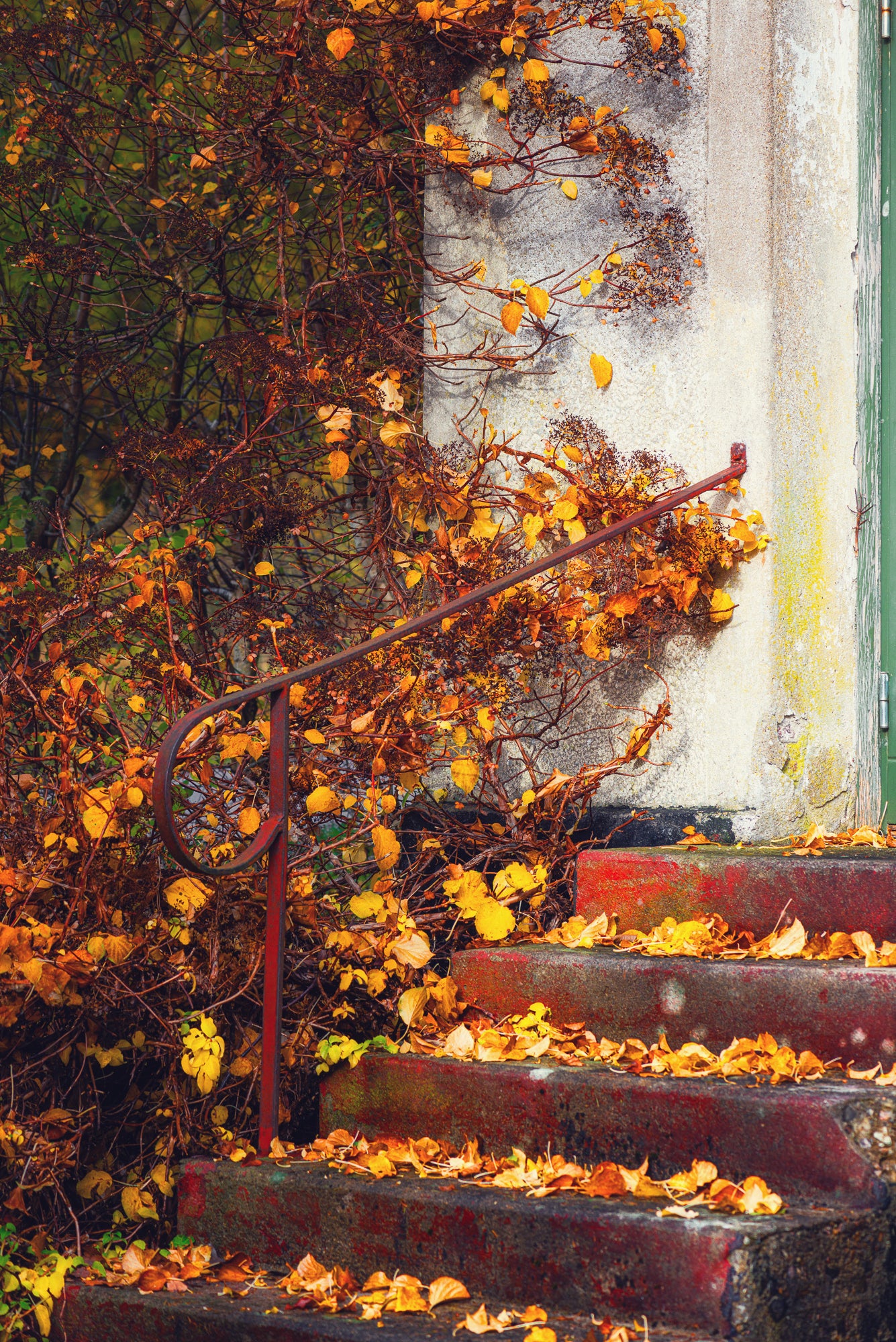 Stairs during the fall 70x100 cm