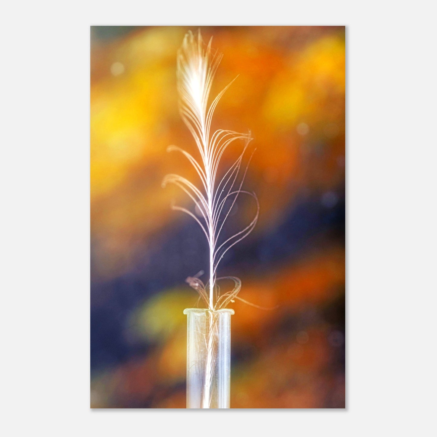 Spring in vase - Aluminum print