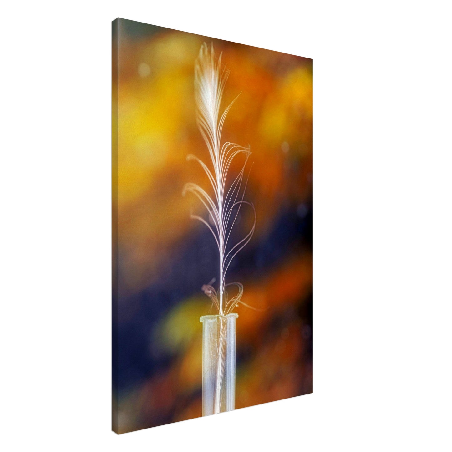 Feather in vase - Canvas