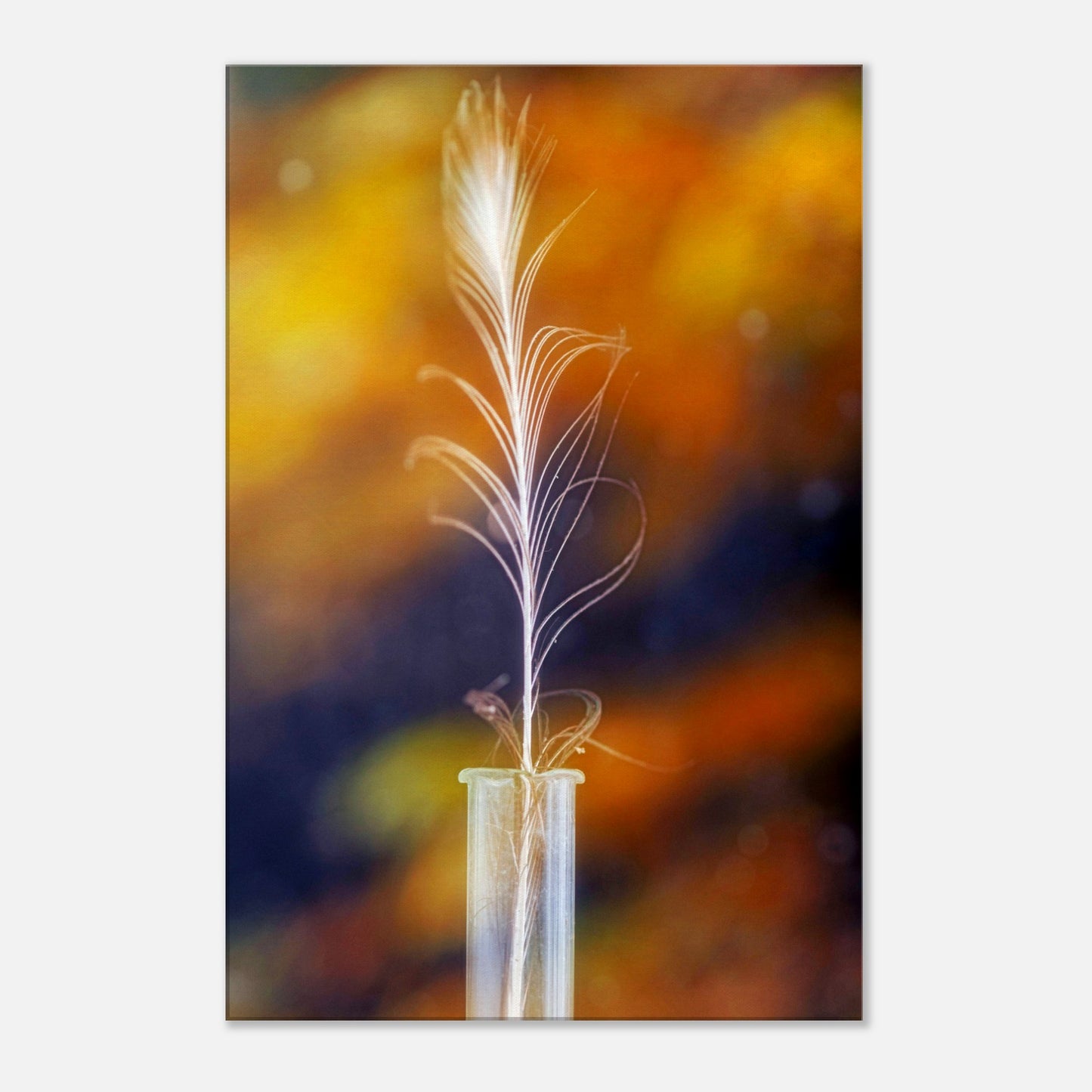 Feather in vase - Canvas