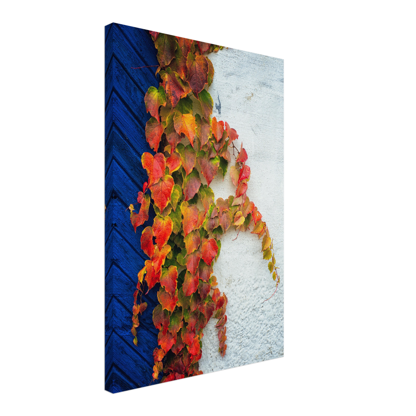 A wall in Ystad in autumn - Canvas