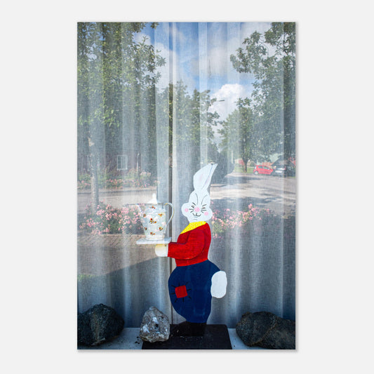 The rabbit in the window - Aluminum print