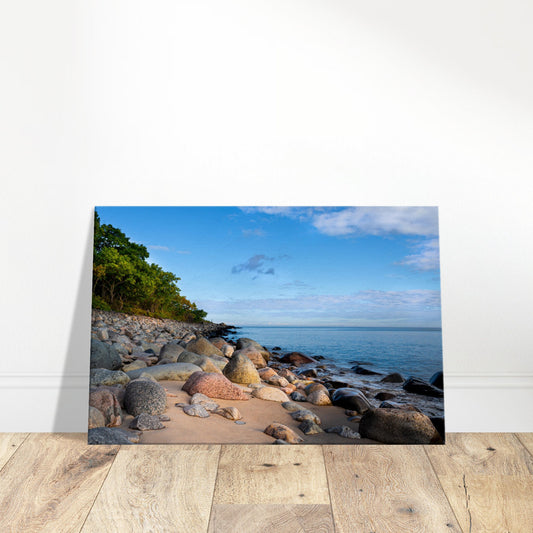 Stranden nedanför Stenshuvud - Canvas