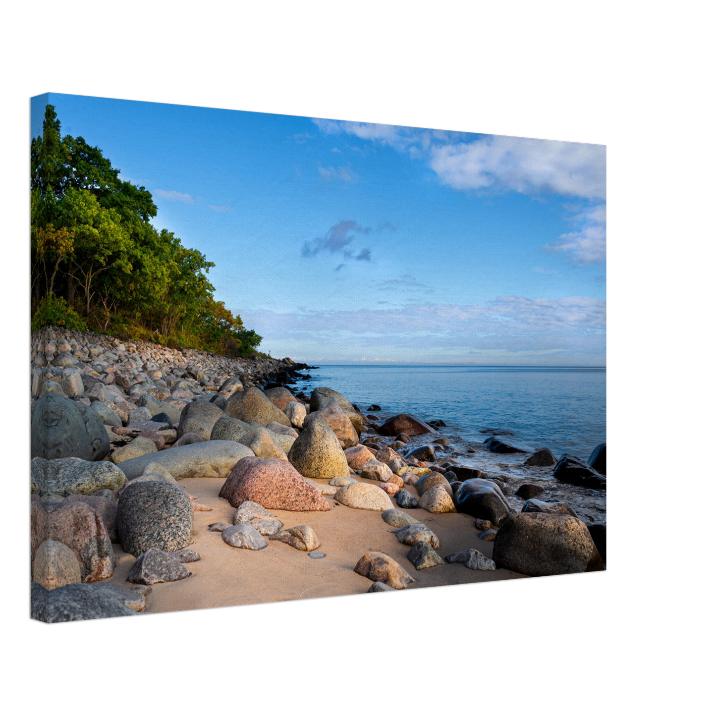 The beach below Stenshuvud - Canvas